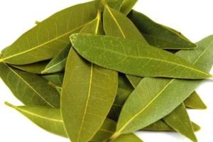 private label essential oils