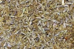 essential oils for men